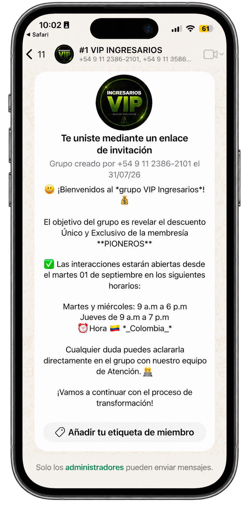 Paso 3 - Dentro del grupo VIP de WhatsApp